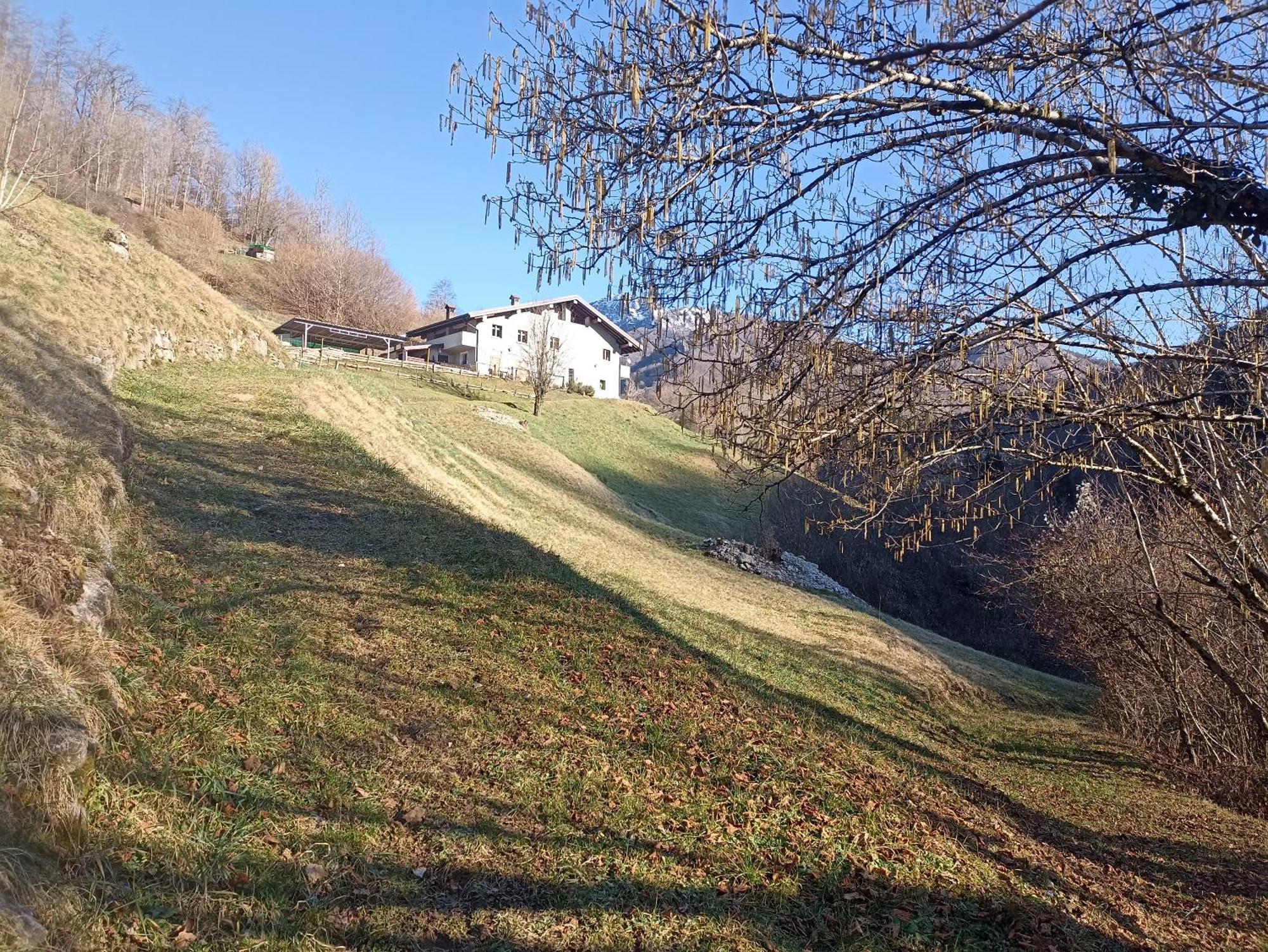 Agriturismo Cascina Cornella Cremeno Exterior foto